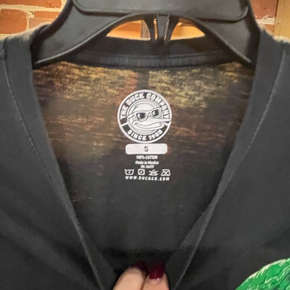 Turtle - Picture 4 of 6